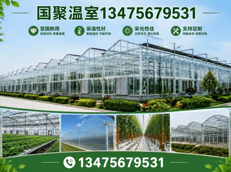 潍城区国聚温室展示图