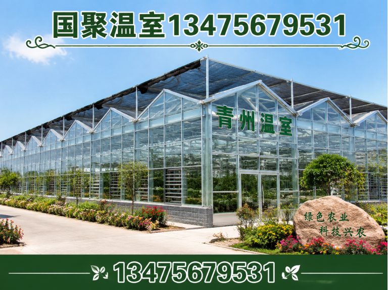 潍城区温室大棚厂家展示图